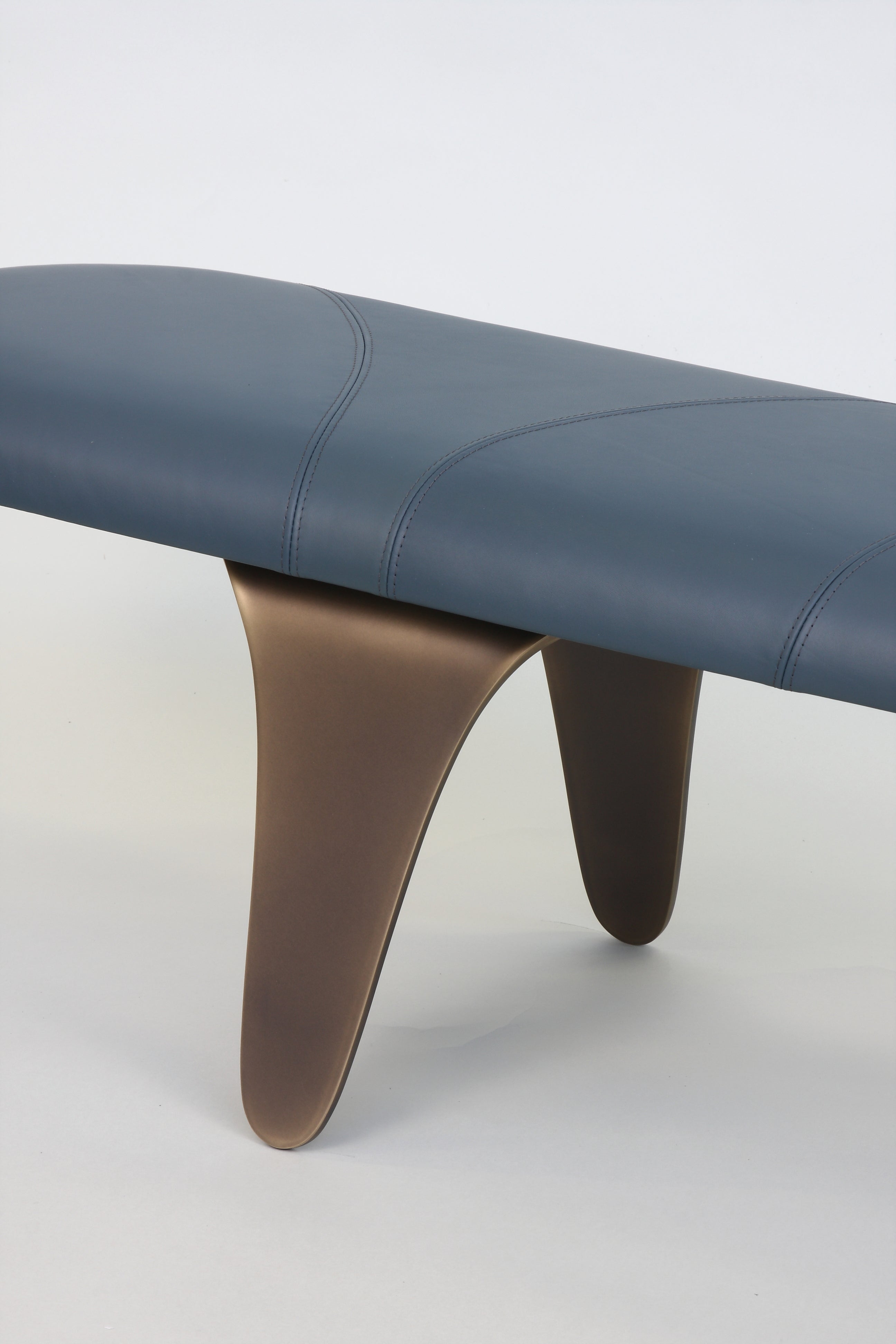 Iguane Bench