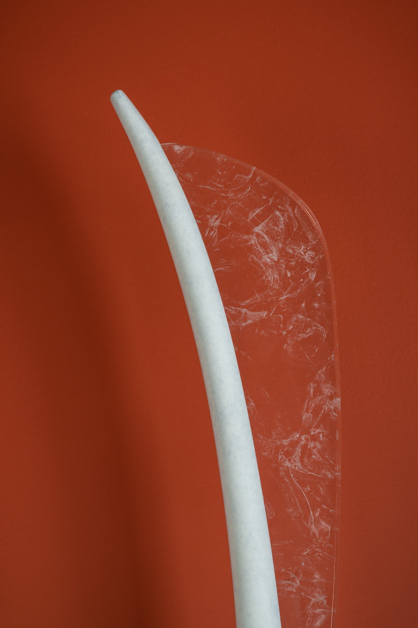 Avena Wall Light - Limited Edition