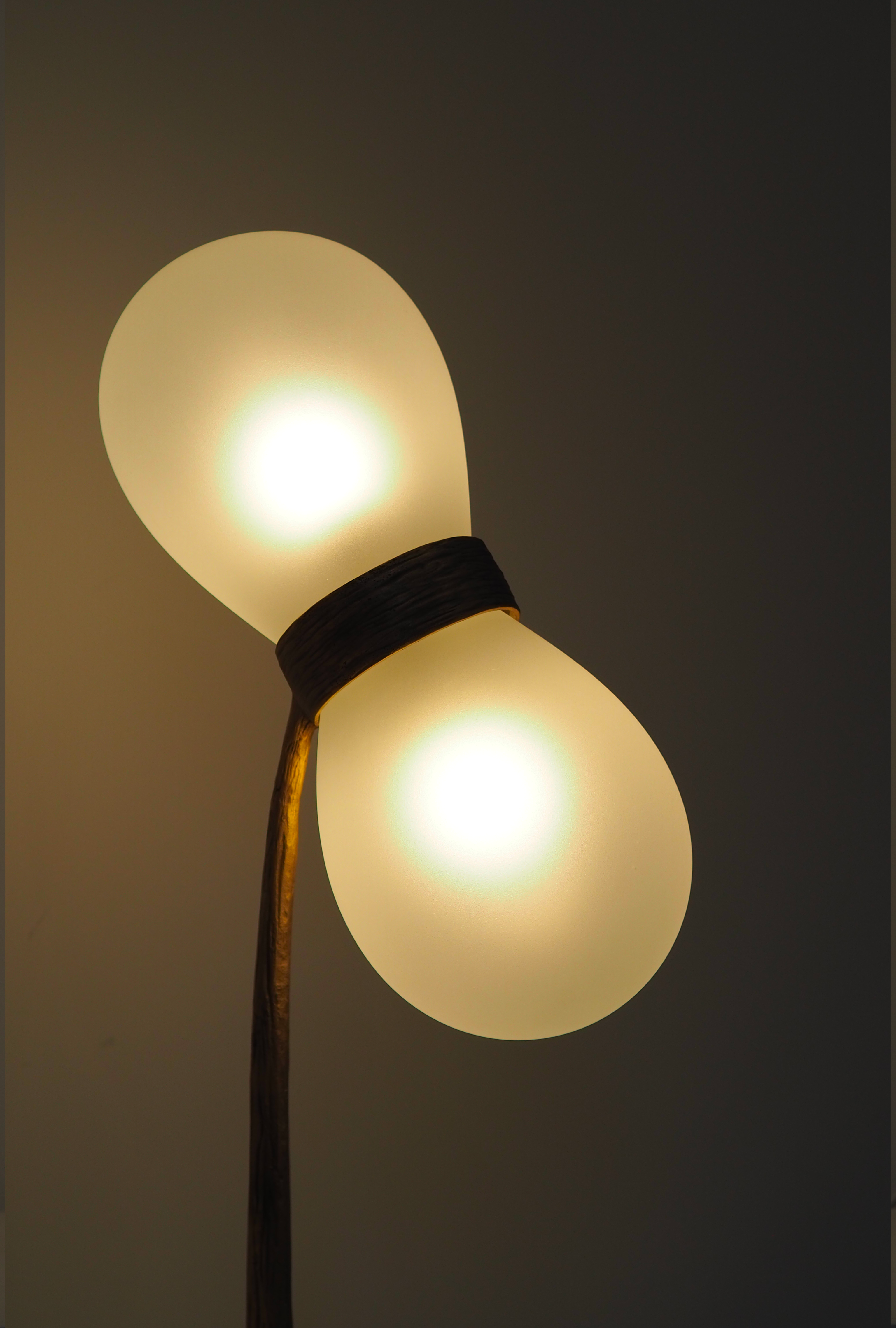 Bacupari Table Lamp