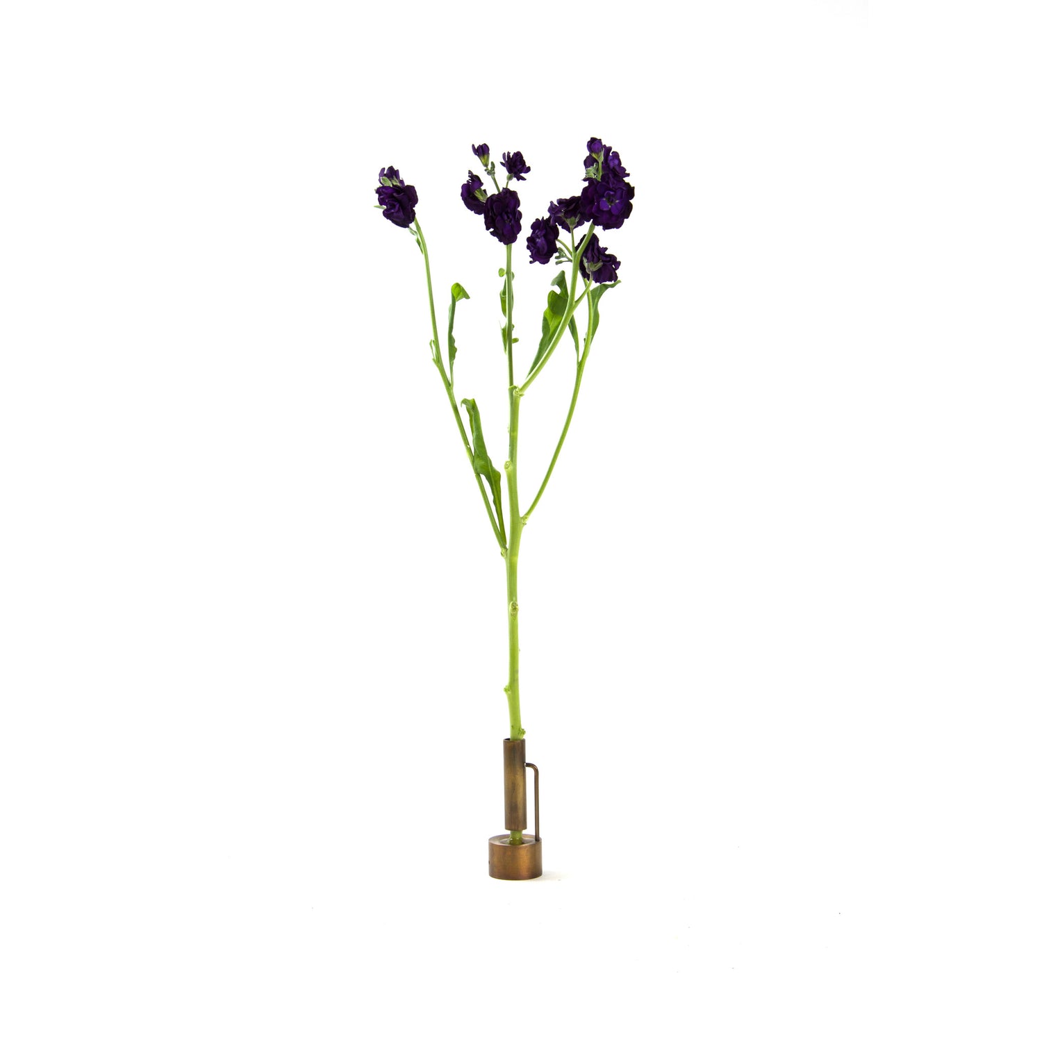 Bud Vase 1