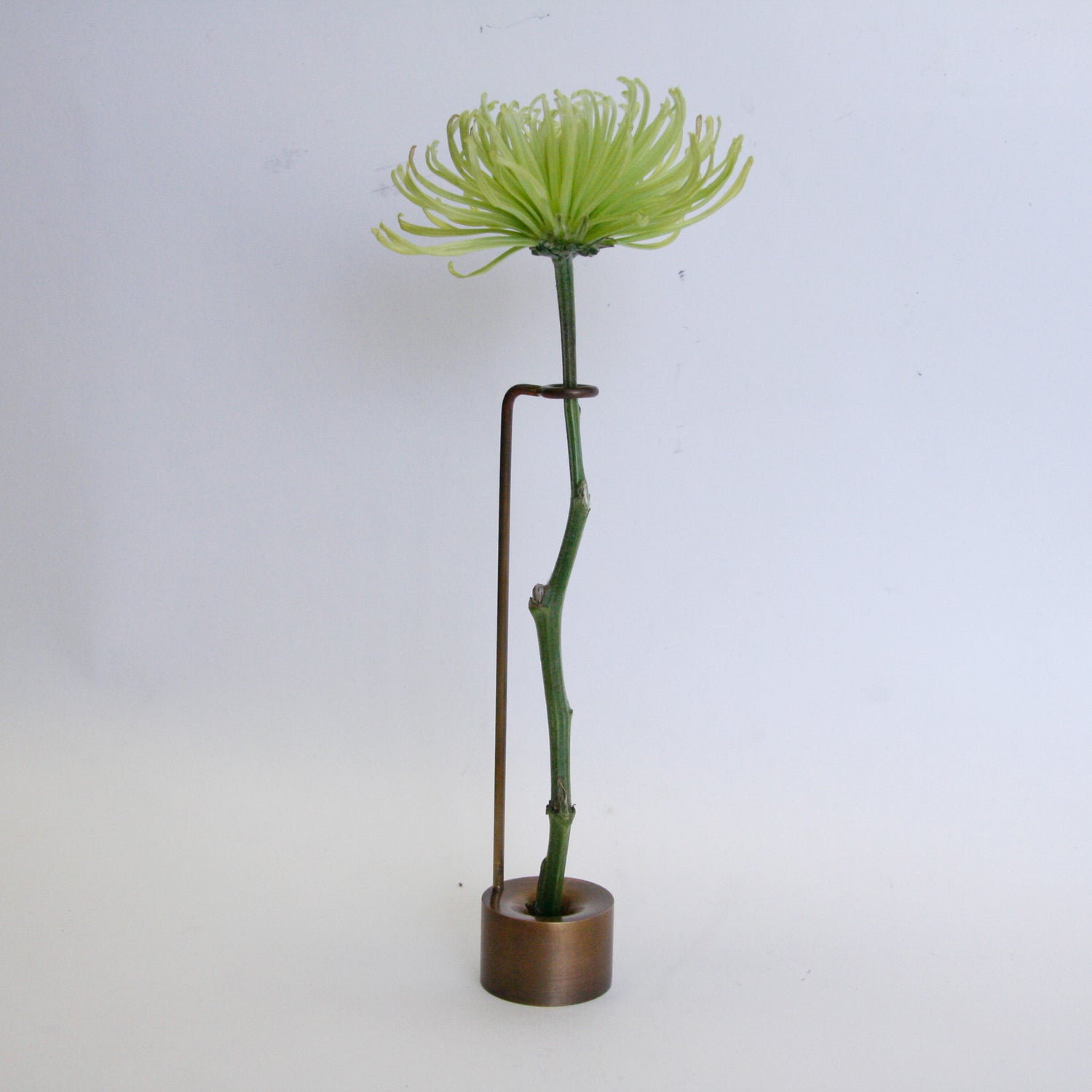 Bud Vase 2