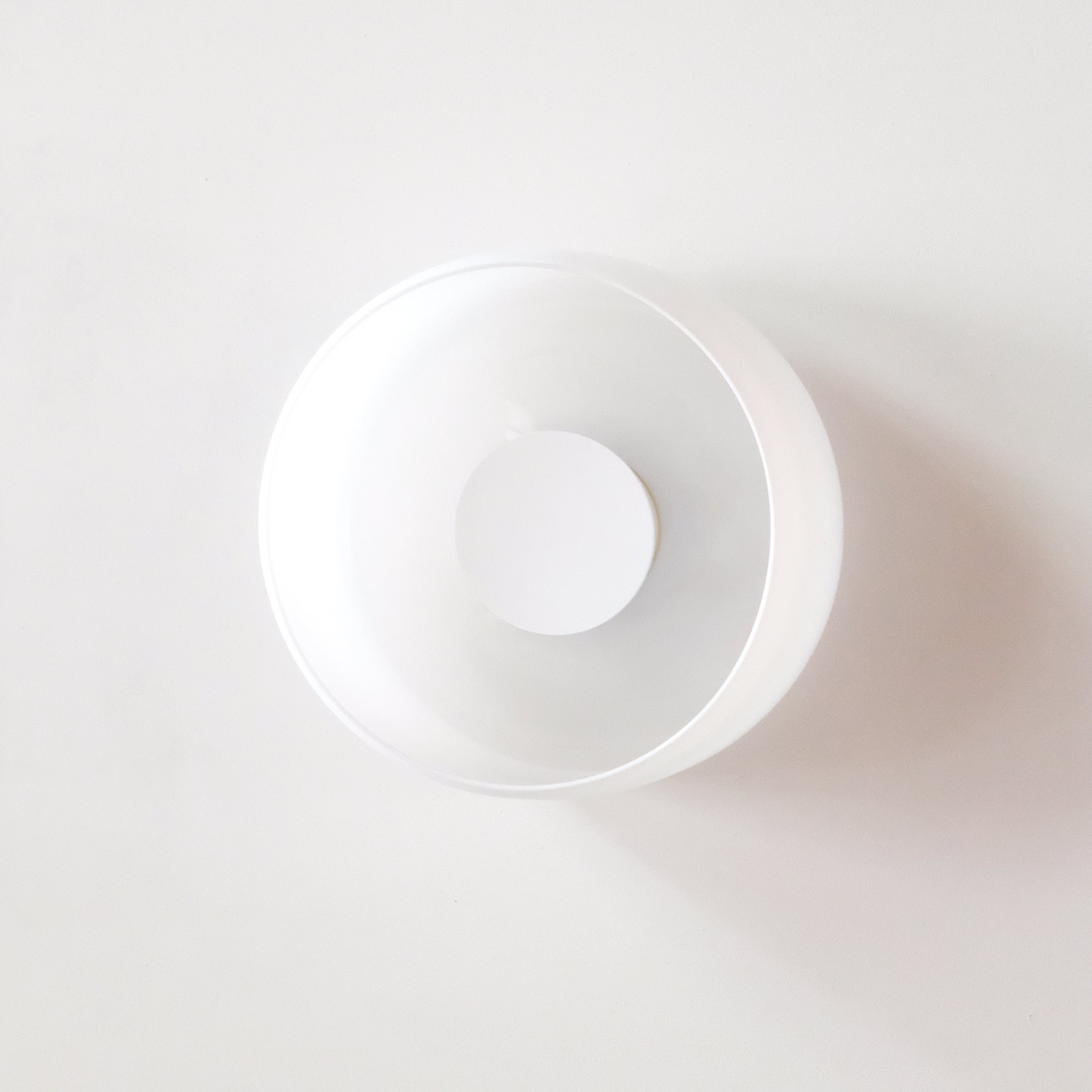 Gamma S Wall/Ceiling Light