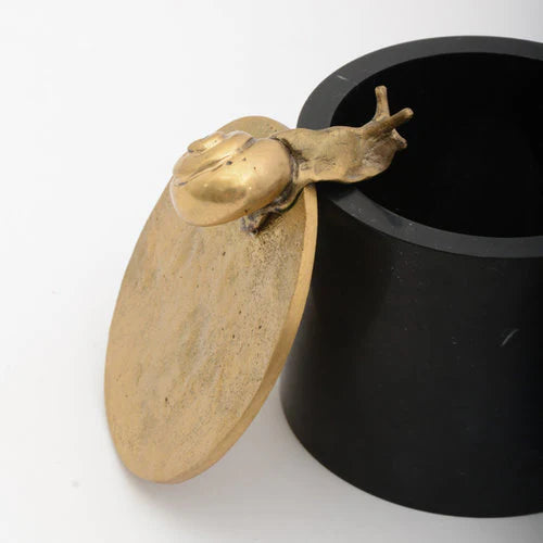 Caracol Keepsake Box