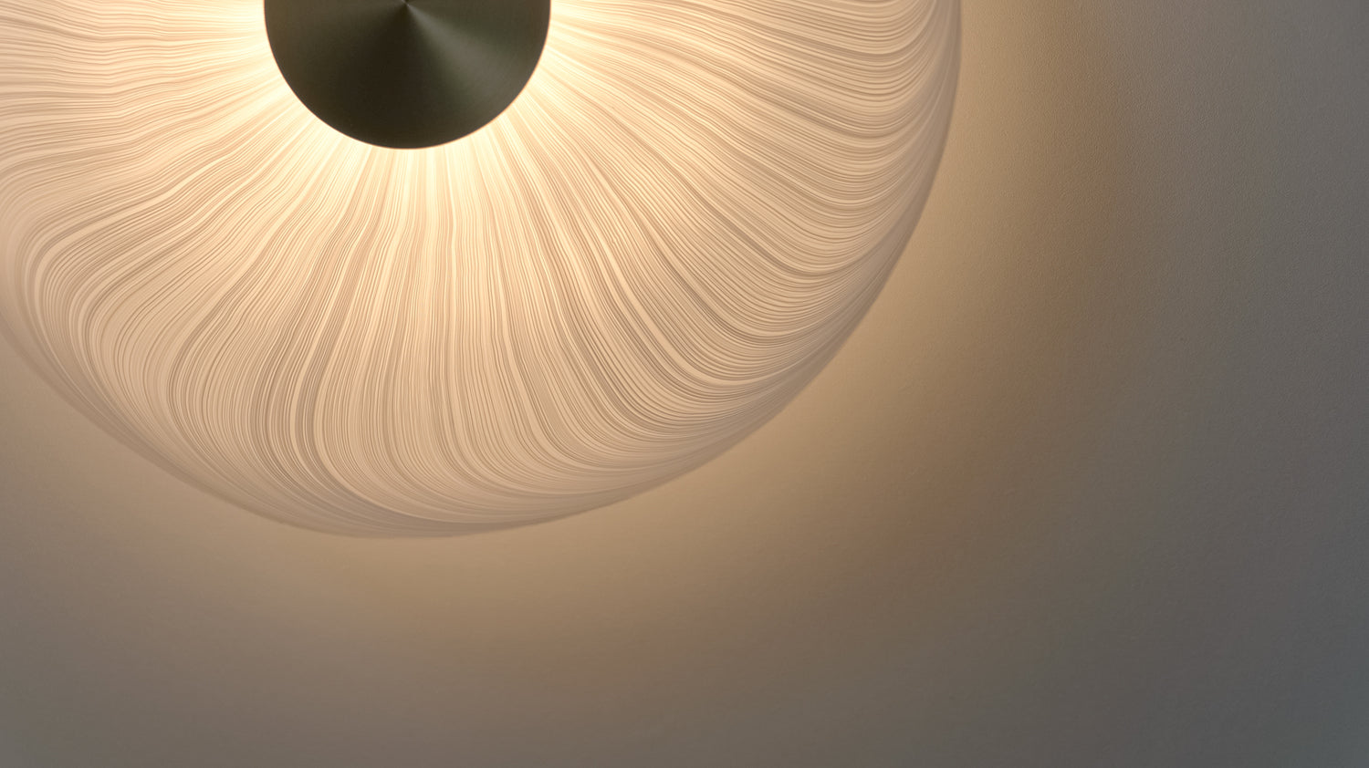 Cive Wall/Ceiling Light