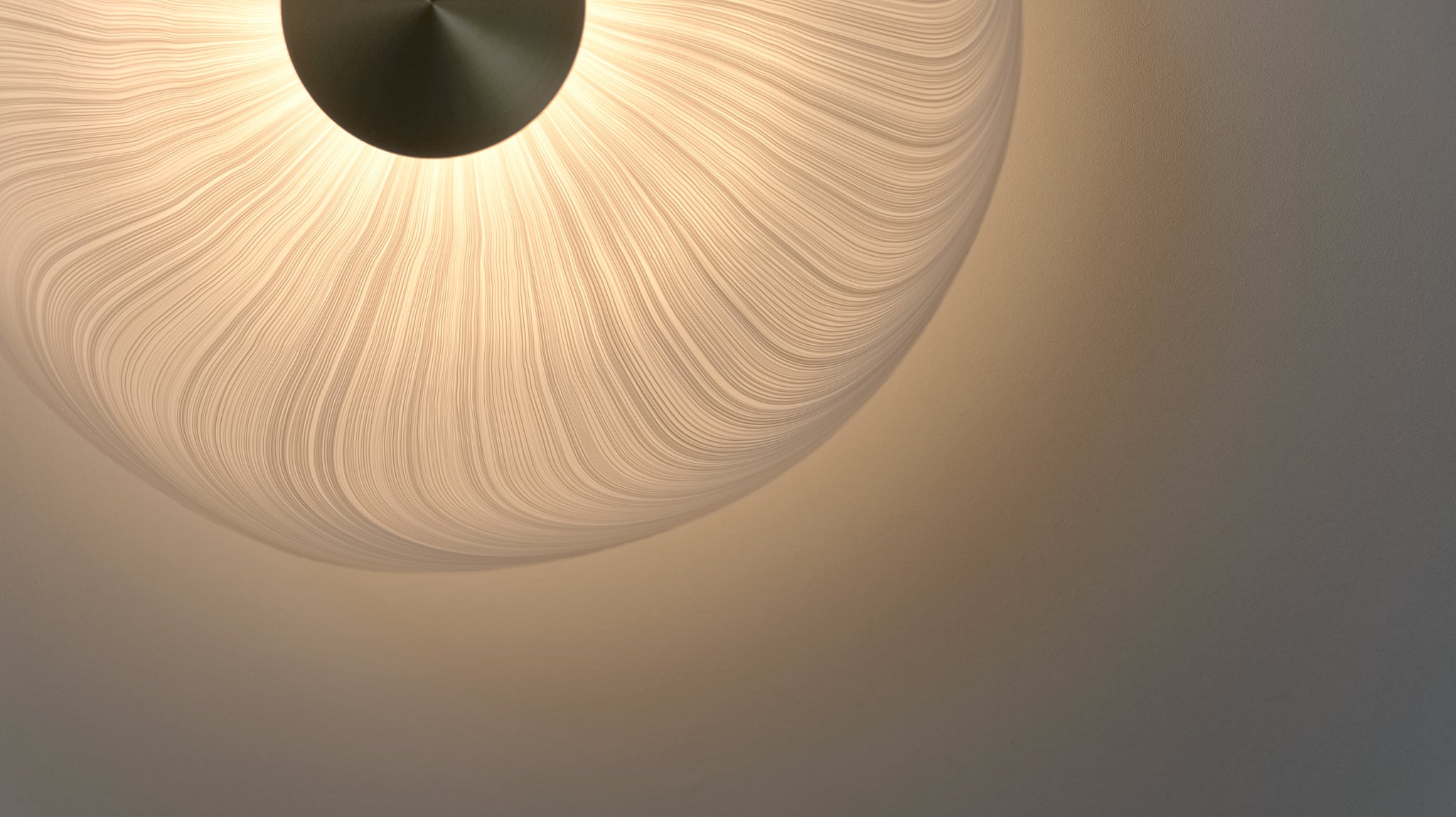 Cive Wall/Ceiling Light