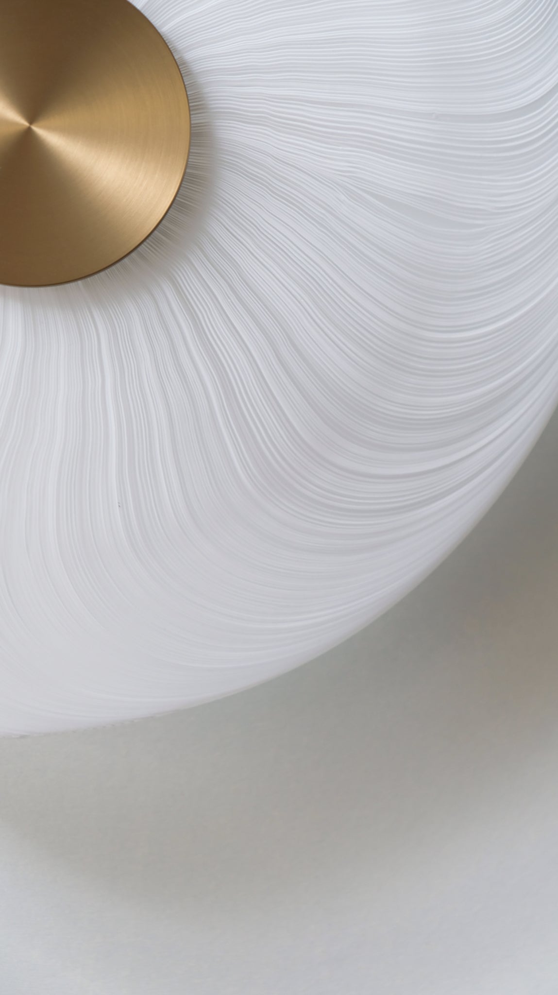 Cive Wall/Ceiling Light