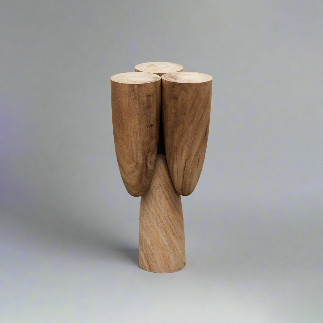 Copal Side Table in Parota Wood