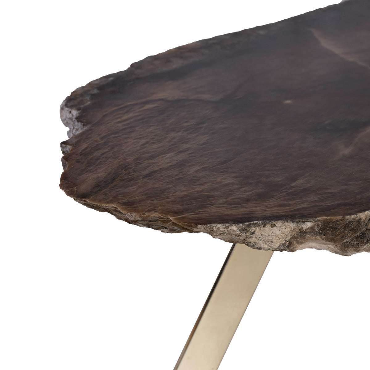 Cortex Coffee Table