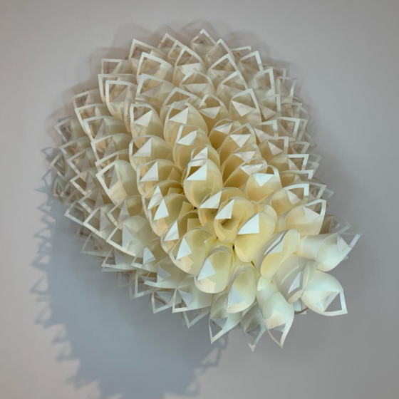 Geometric Bloom