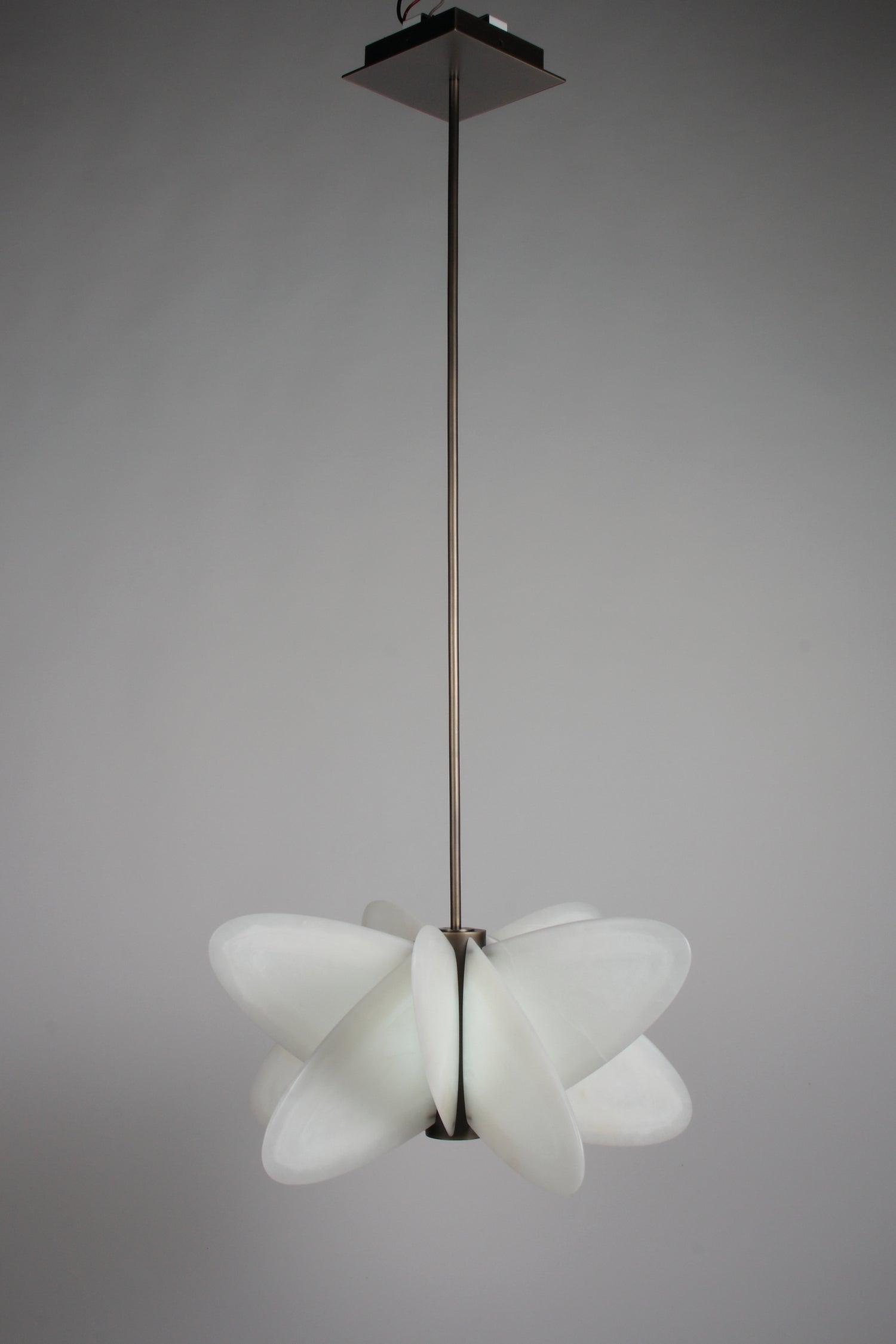 Rose Des Sables Pendant Light