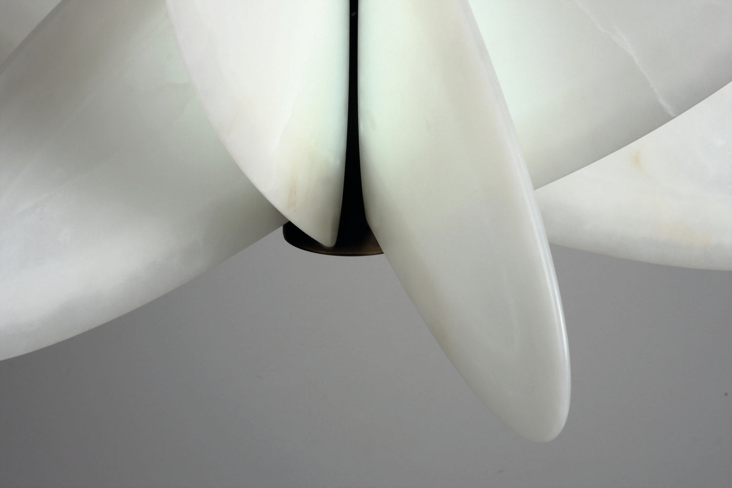 Rose Des Sables Pendant Light