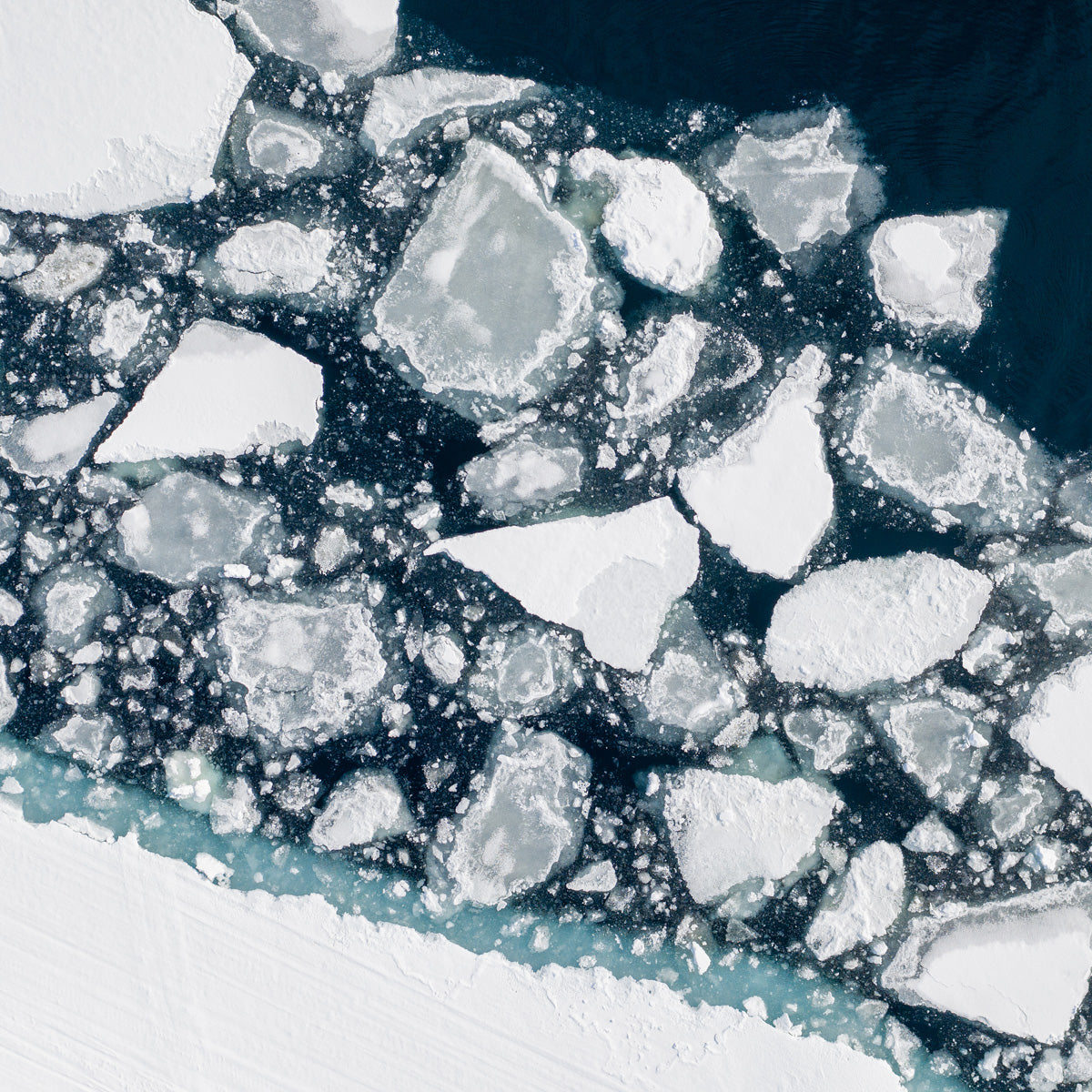 Larsen-c