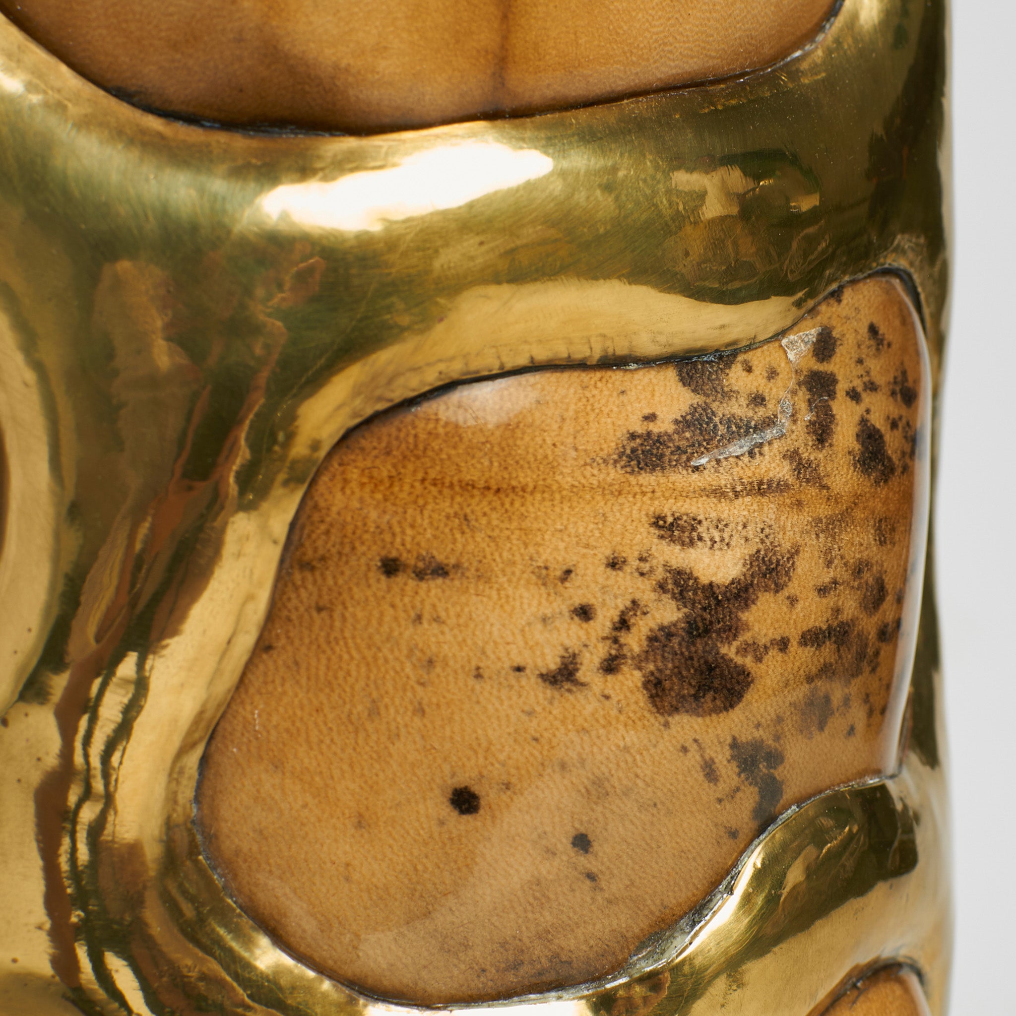 Sea Cucumber Table Lamp