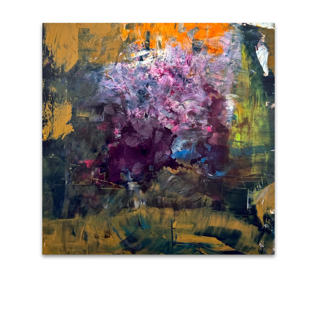 Shield, 2026