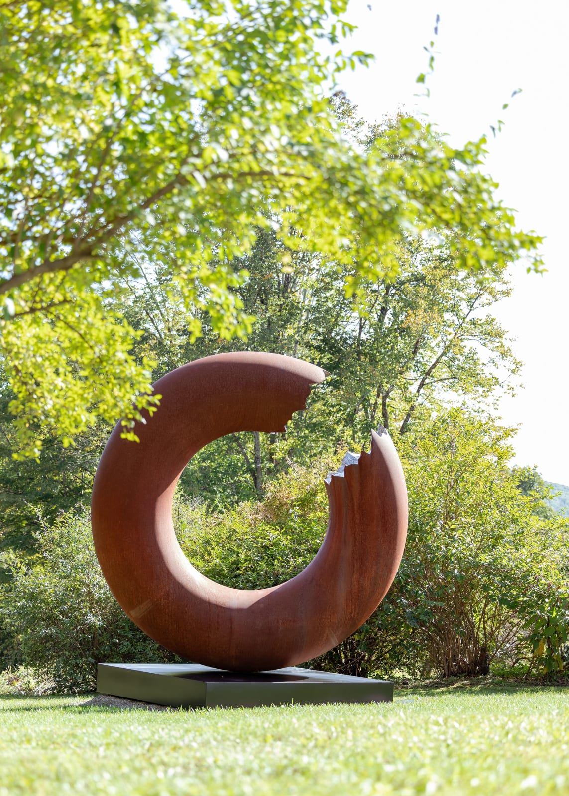 Torus 340