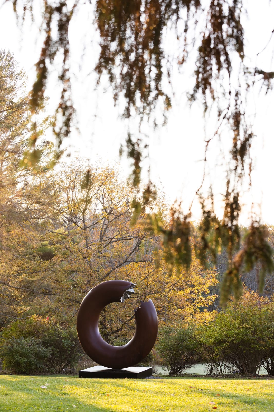 Torus 340