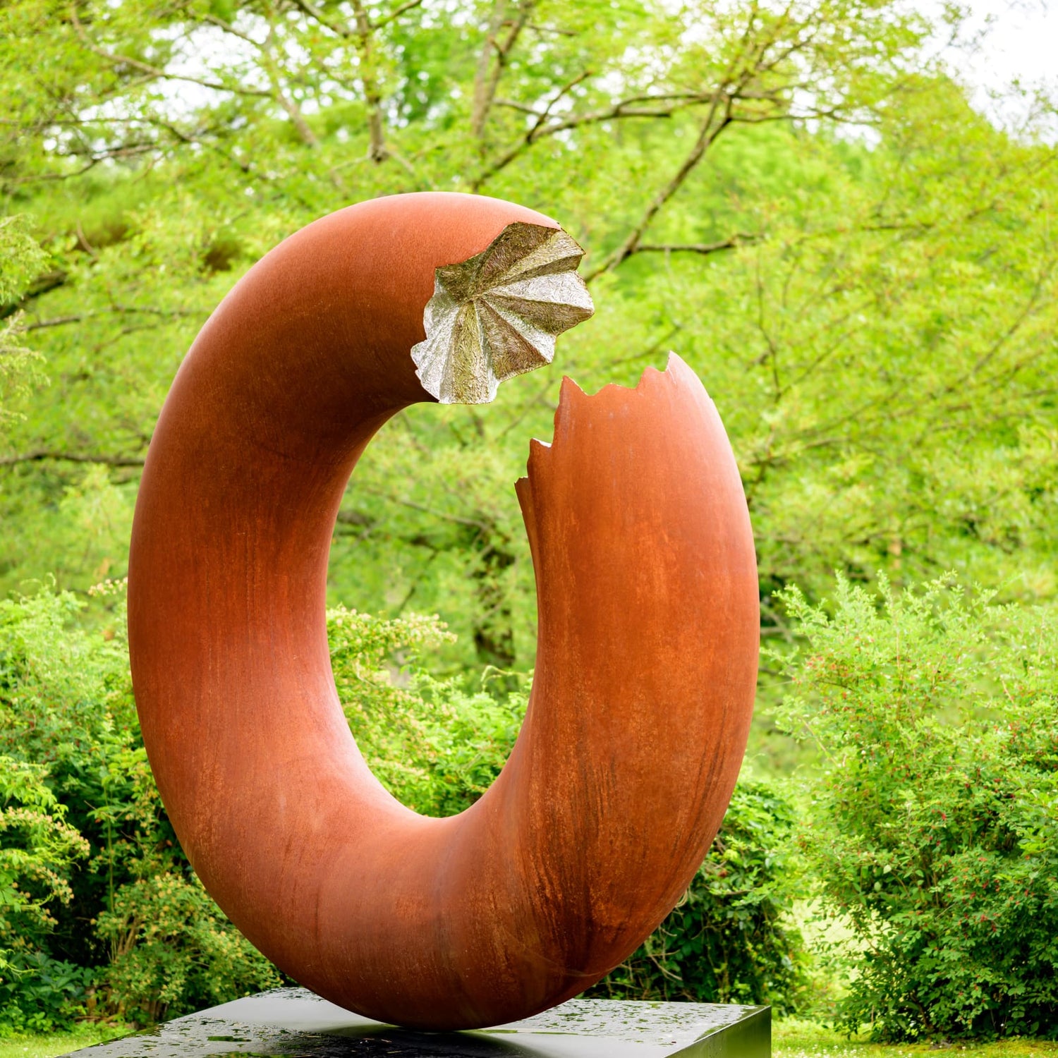 Torus 340