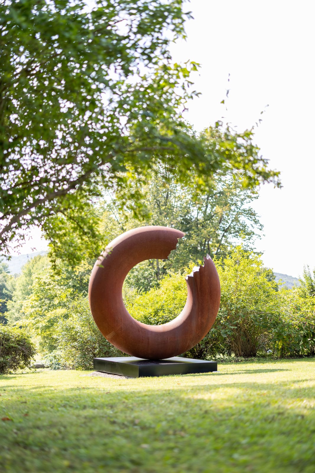 Torus 340