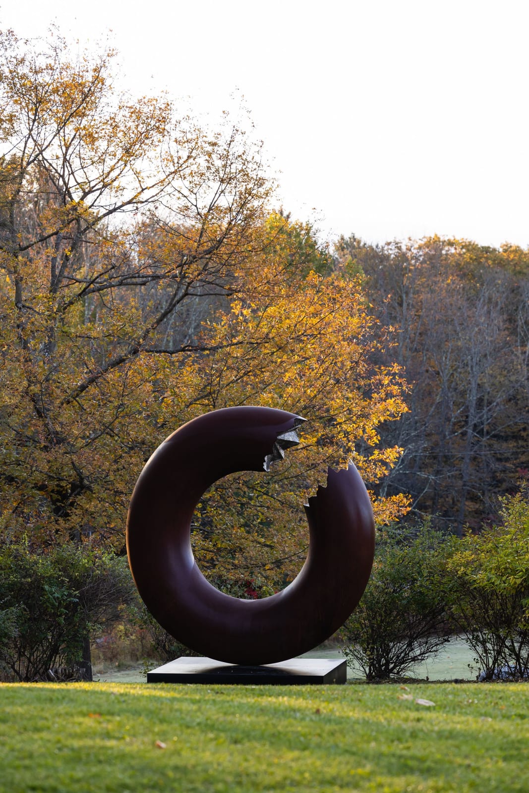 Torus 340