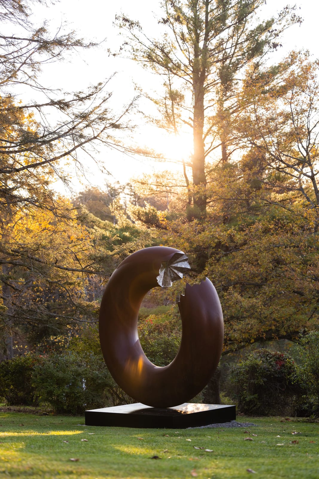 Torus 340