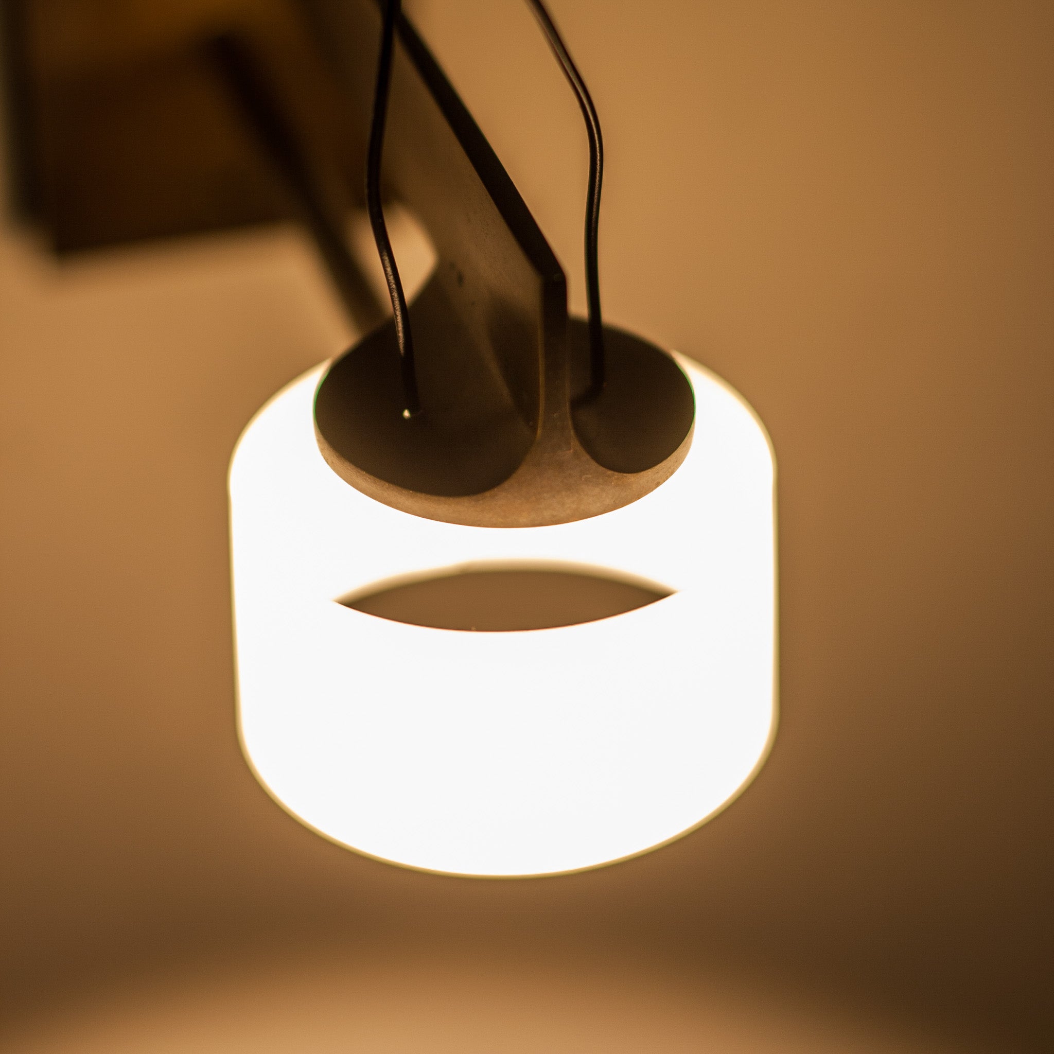 With Lamp by Gentner