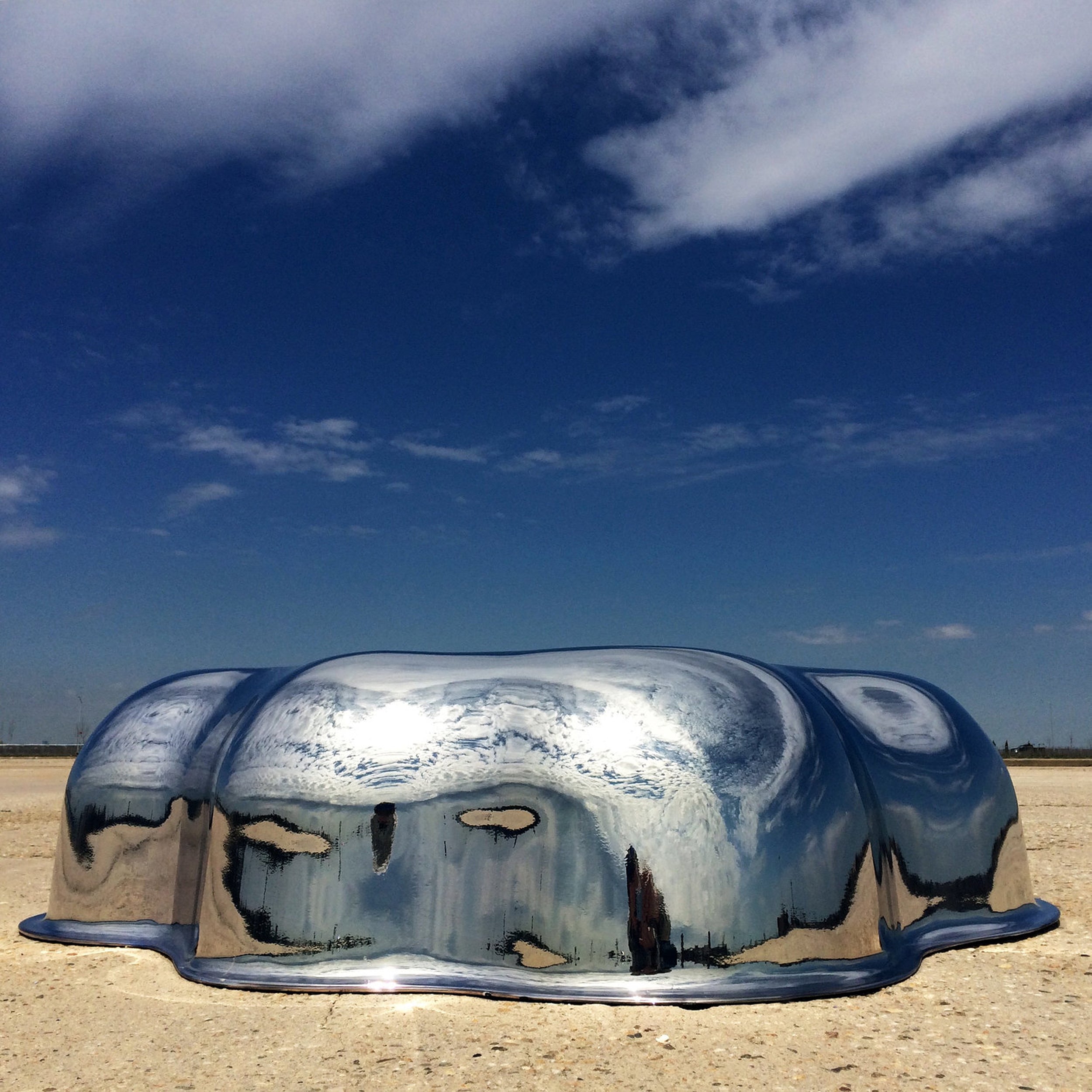 Amoeba Coffee Table