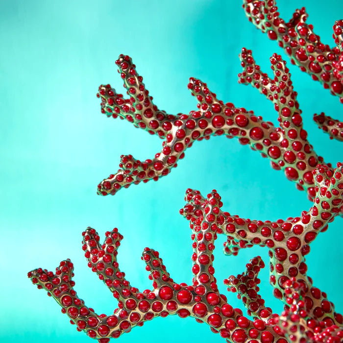Coral Centerpiece