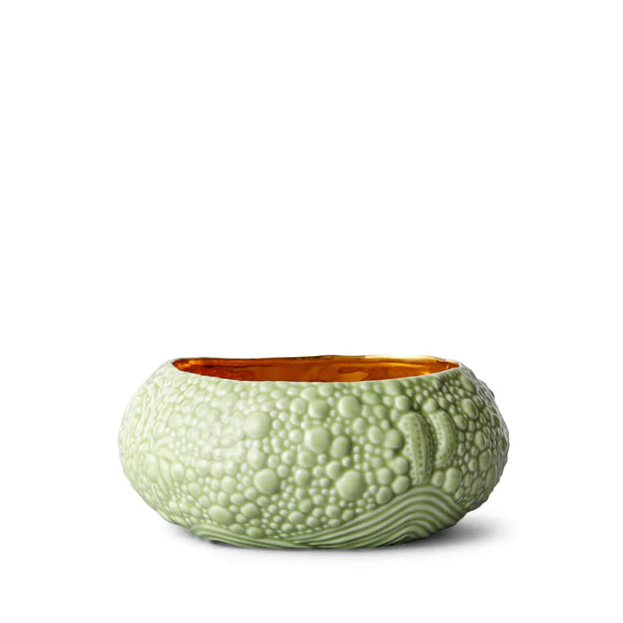 Haas Mojave Desert Bowl - Medium -Matcha & Gold