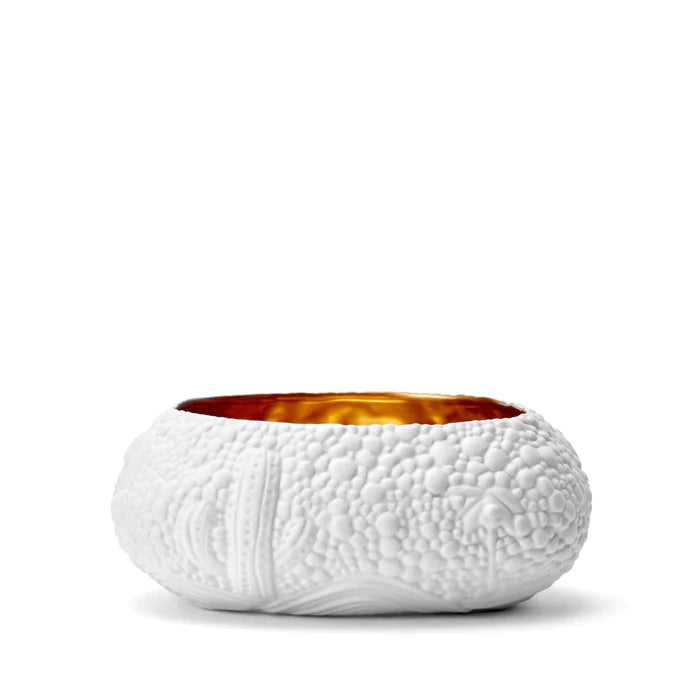Haas Mojave Desert Bowl - Medium - White & Gold