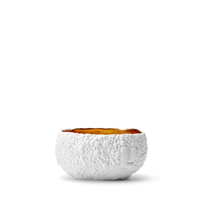 Haas Mojave Desert Bowl - Small - White & Gold