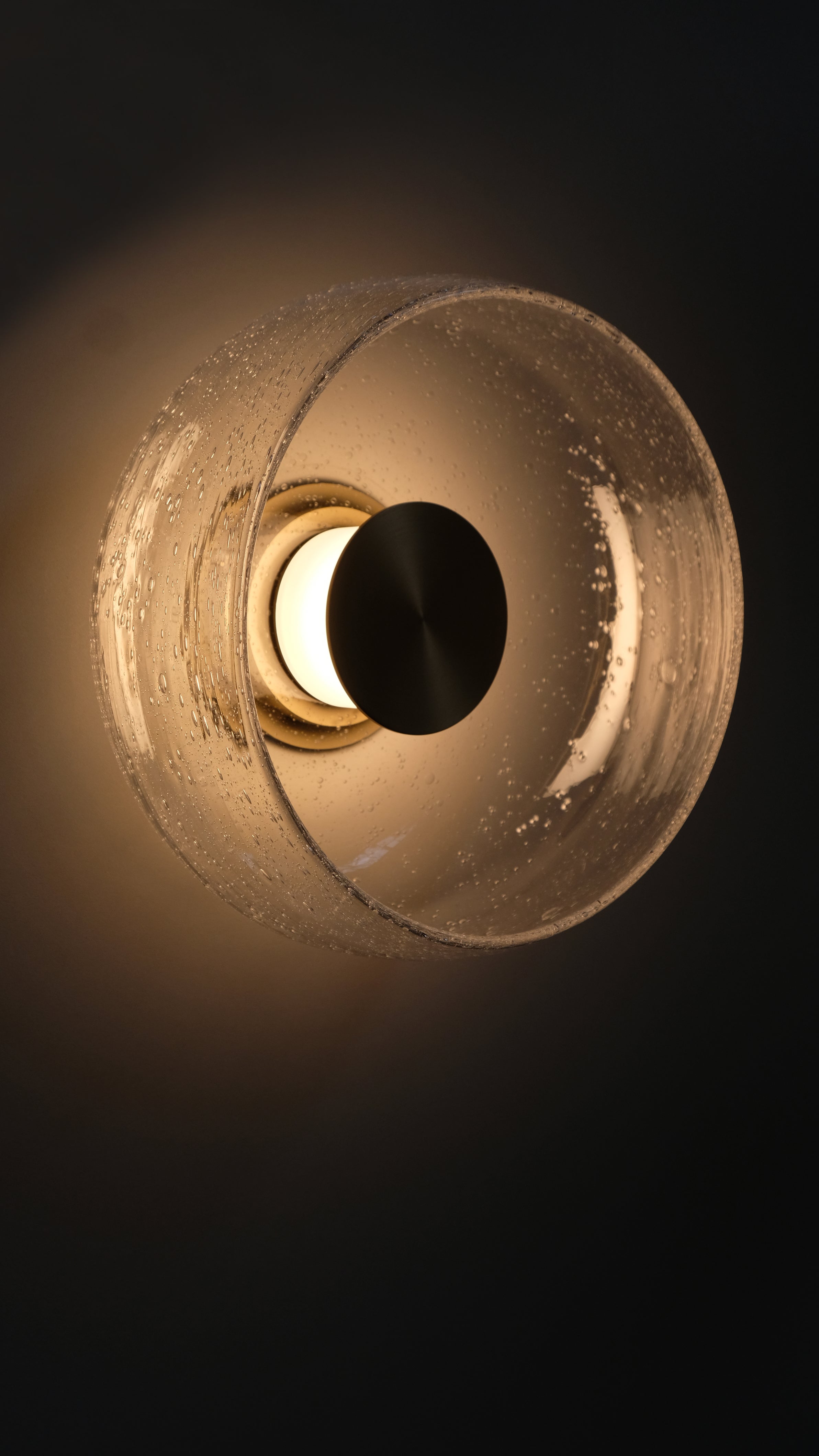 Gamma S Wall/Ceiling Light