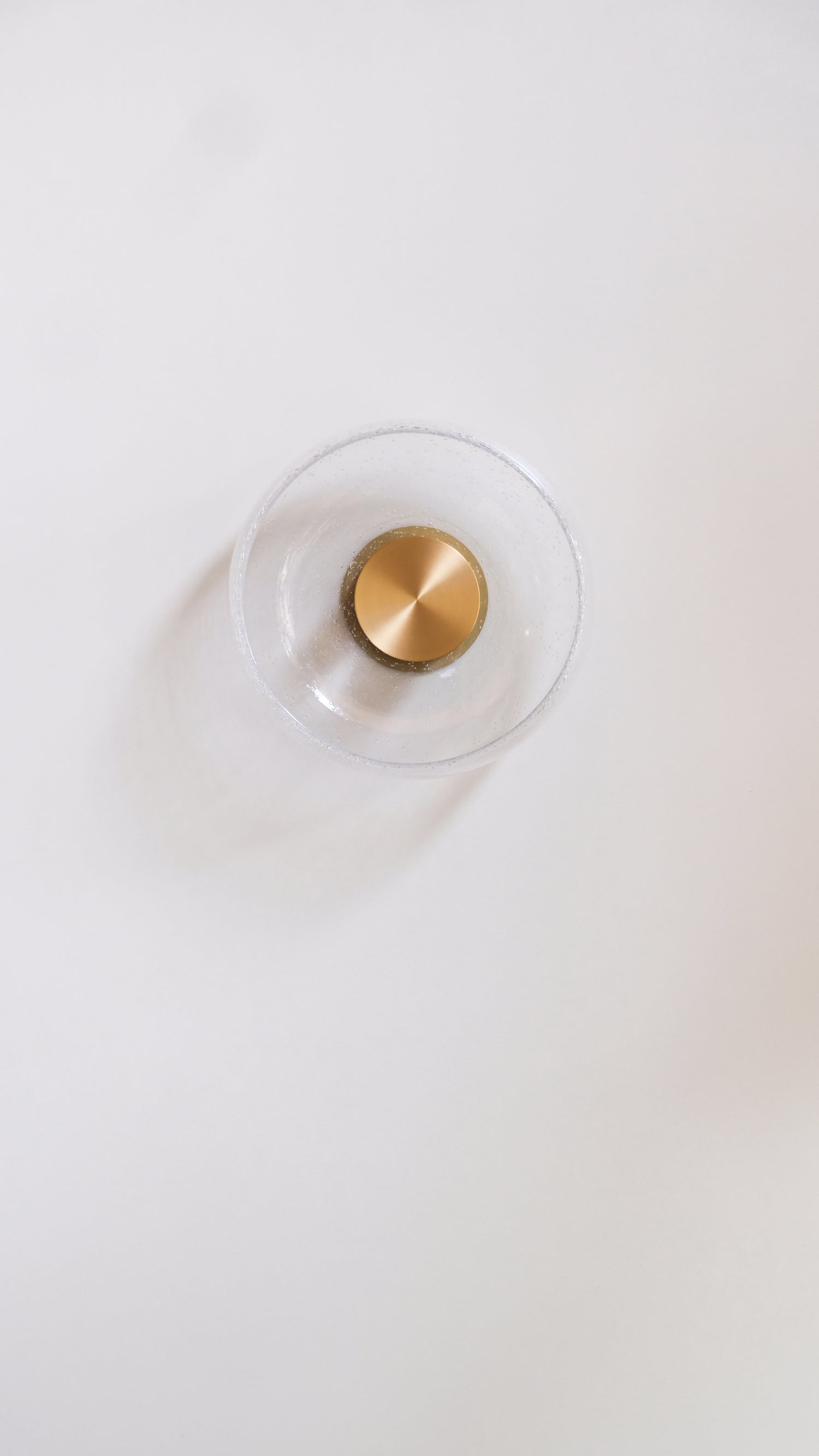 Gamma S Wall/Ceiling Light