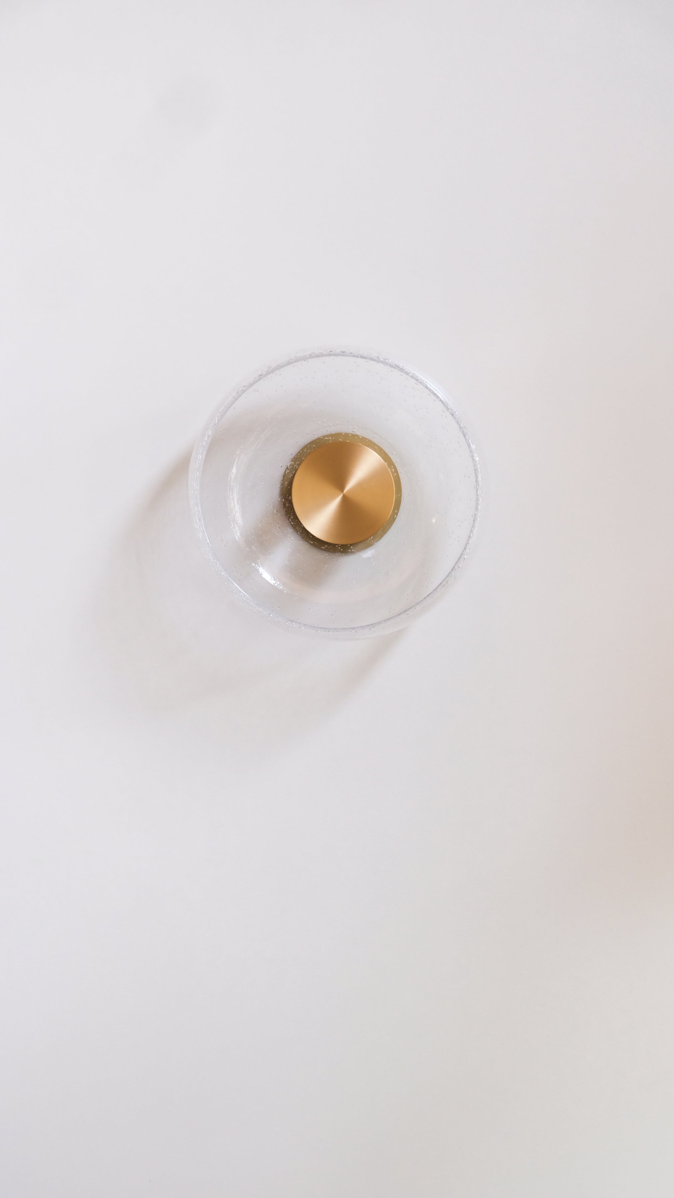 Gamma S Wall/Ceiling Light