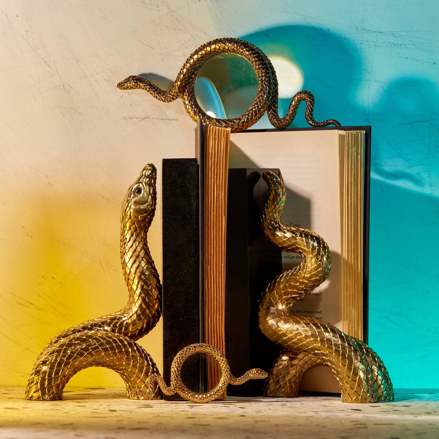 Snake Magnifying Glass