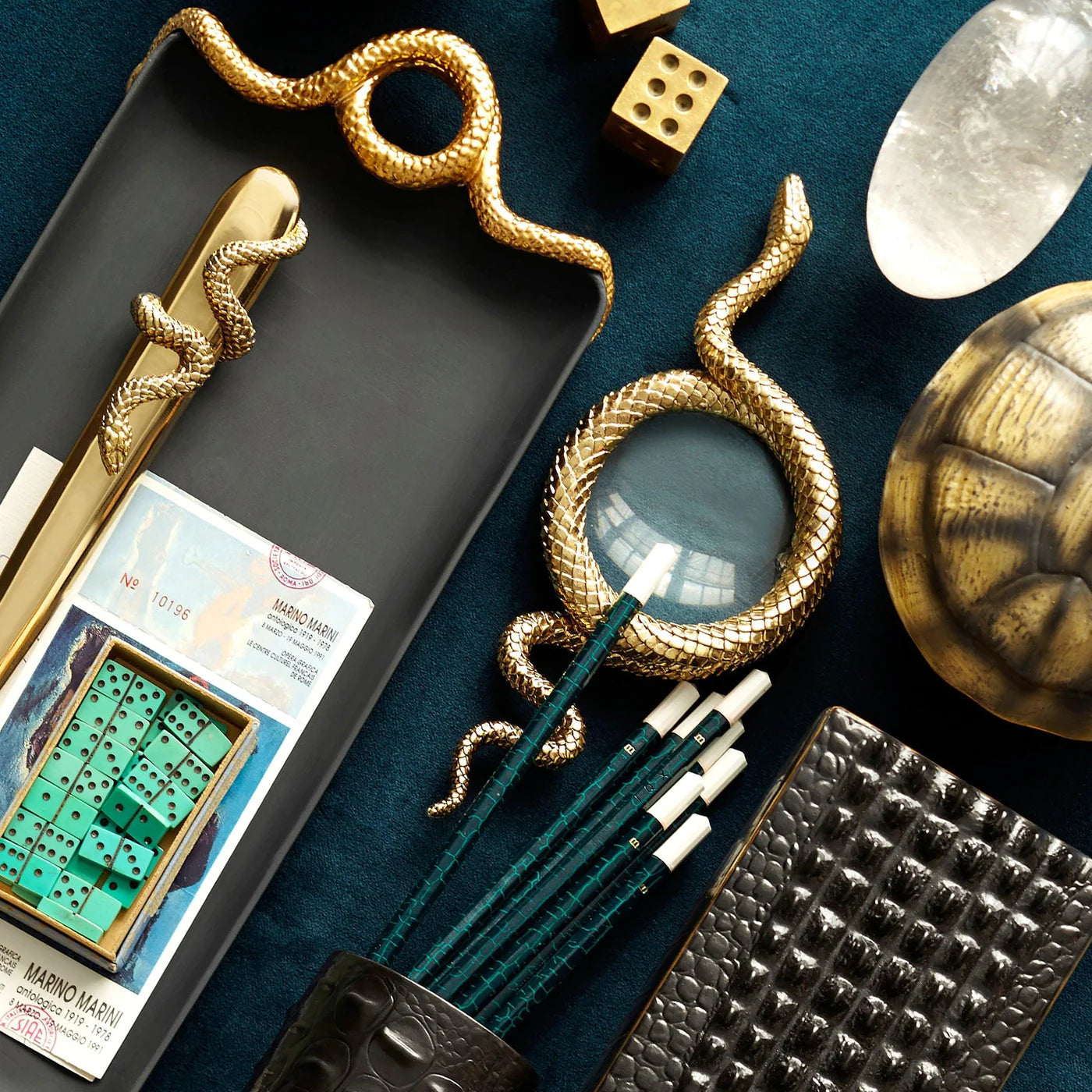 Snake Magnifying Glass