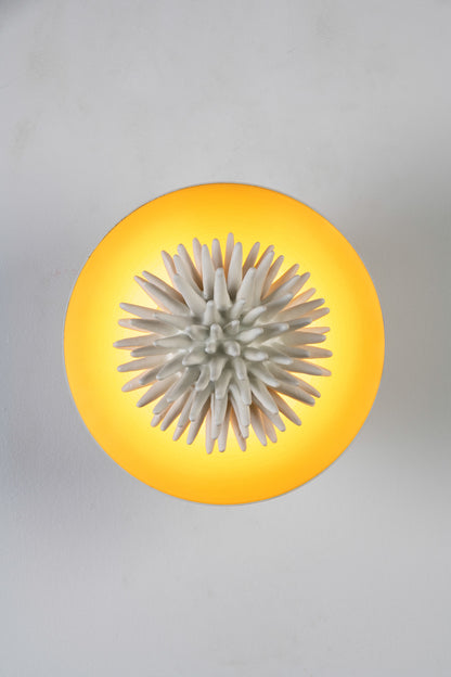 Abysse Single Wall Light