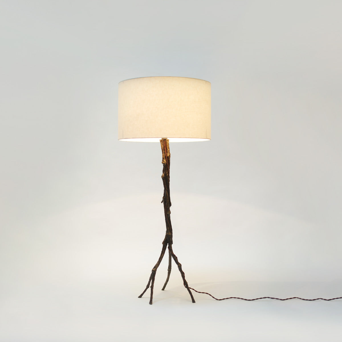 Amazon Lamp