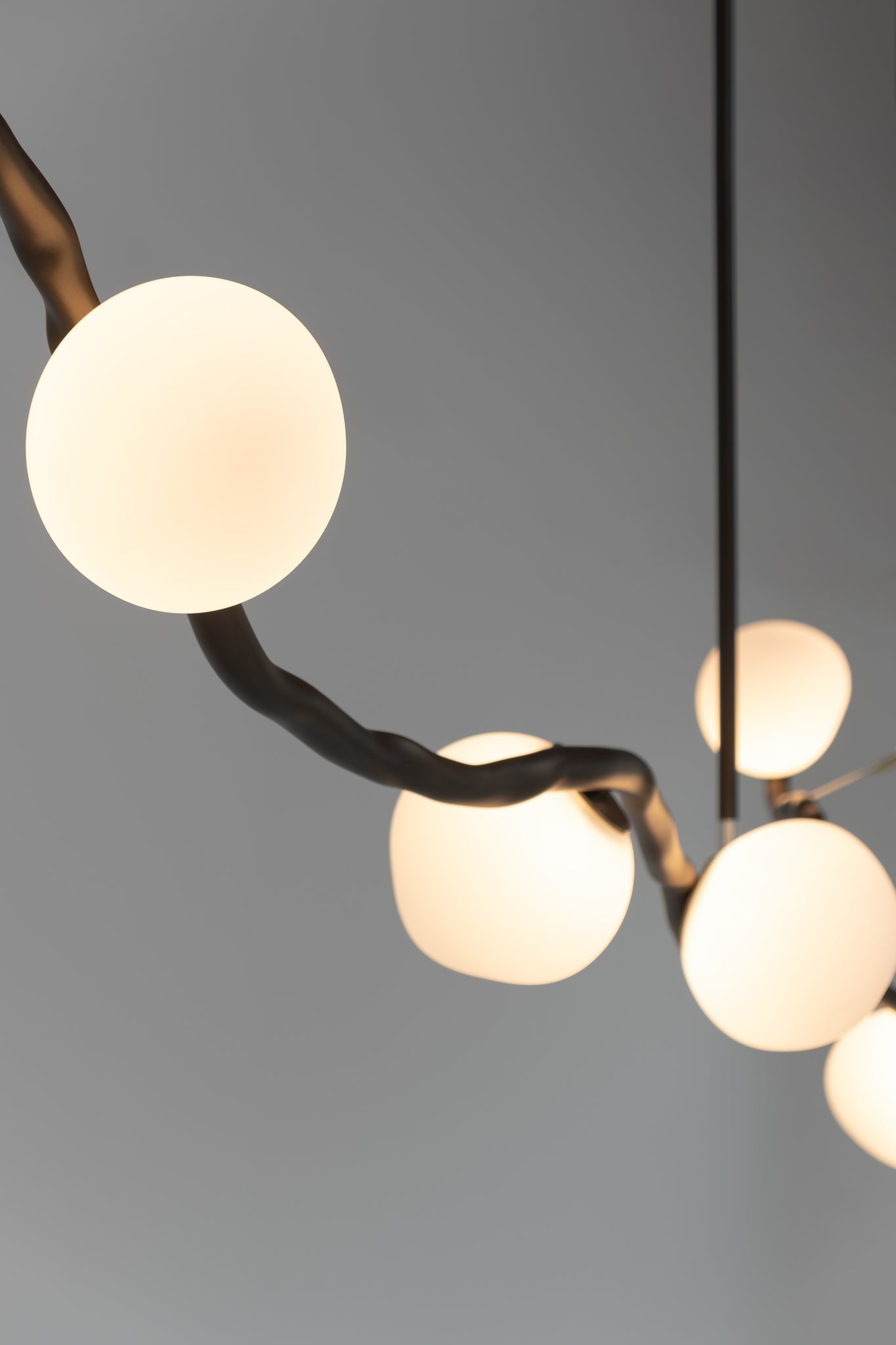 Branche Chandelier