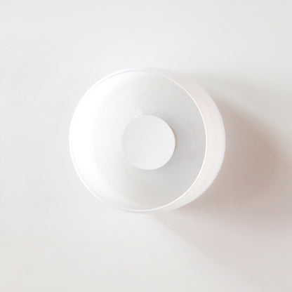 Gamma S Wall/Ceiling Light