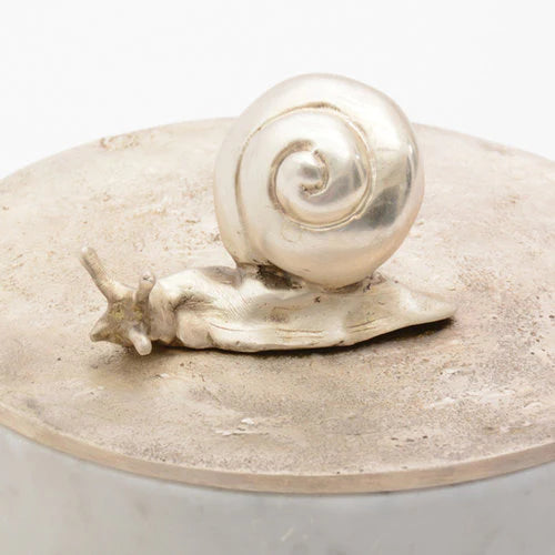 Caracol Keepsake Box