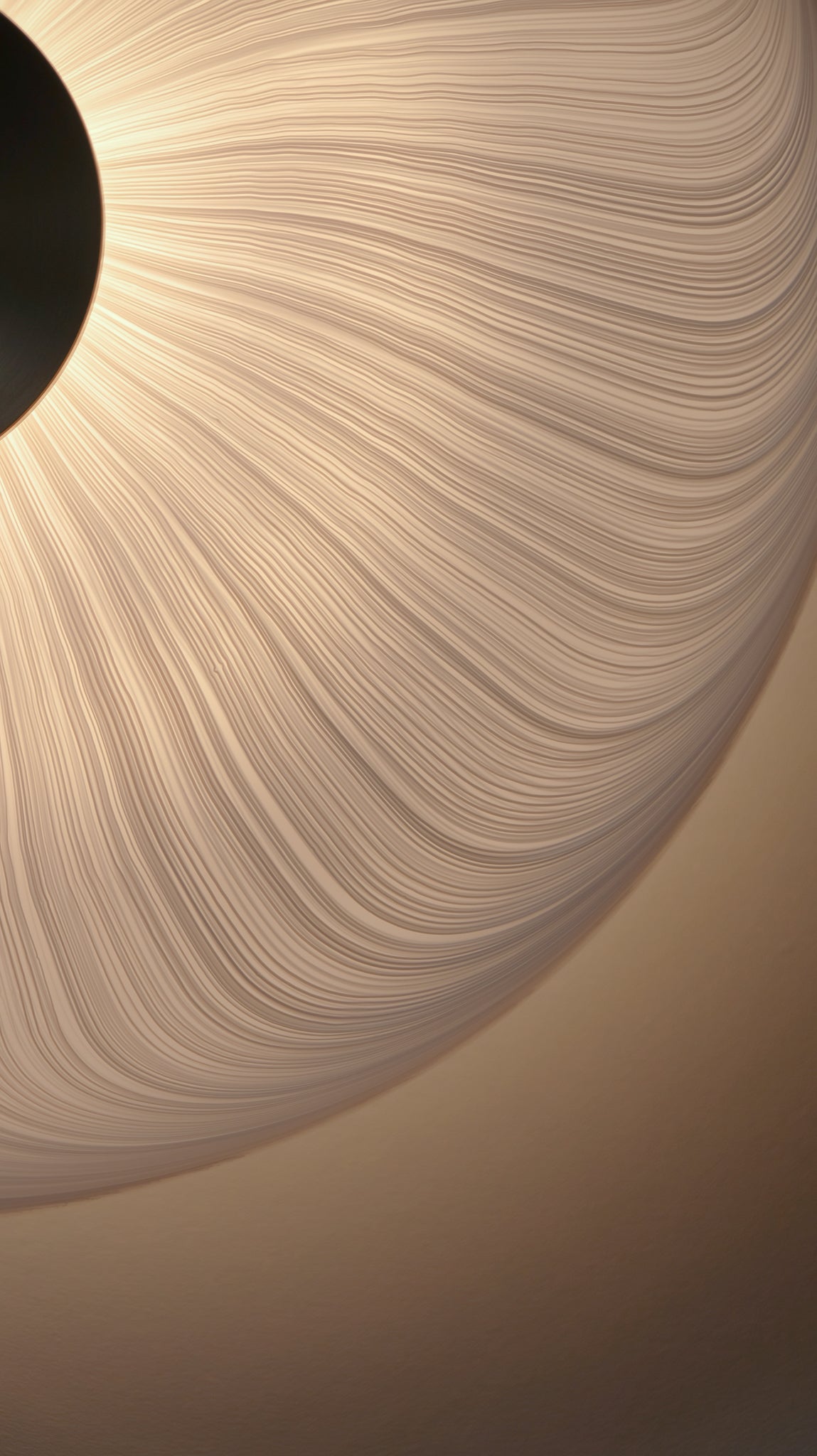 Cive Wall/Ceiling Light
