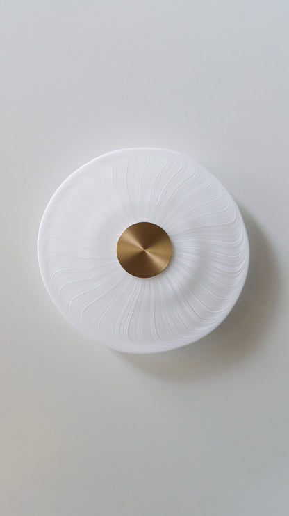 Cive Wall/Ceiling Light