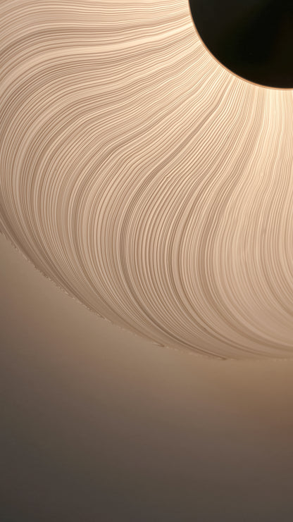 Cive Wall/Ceiling Light