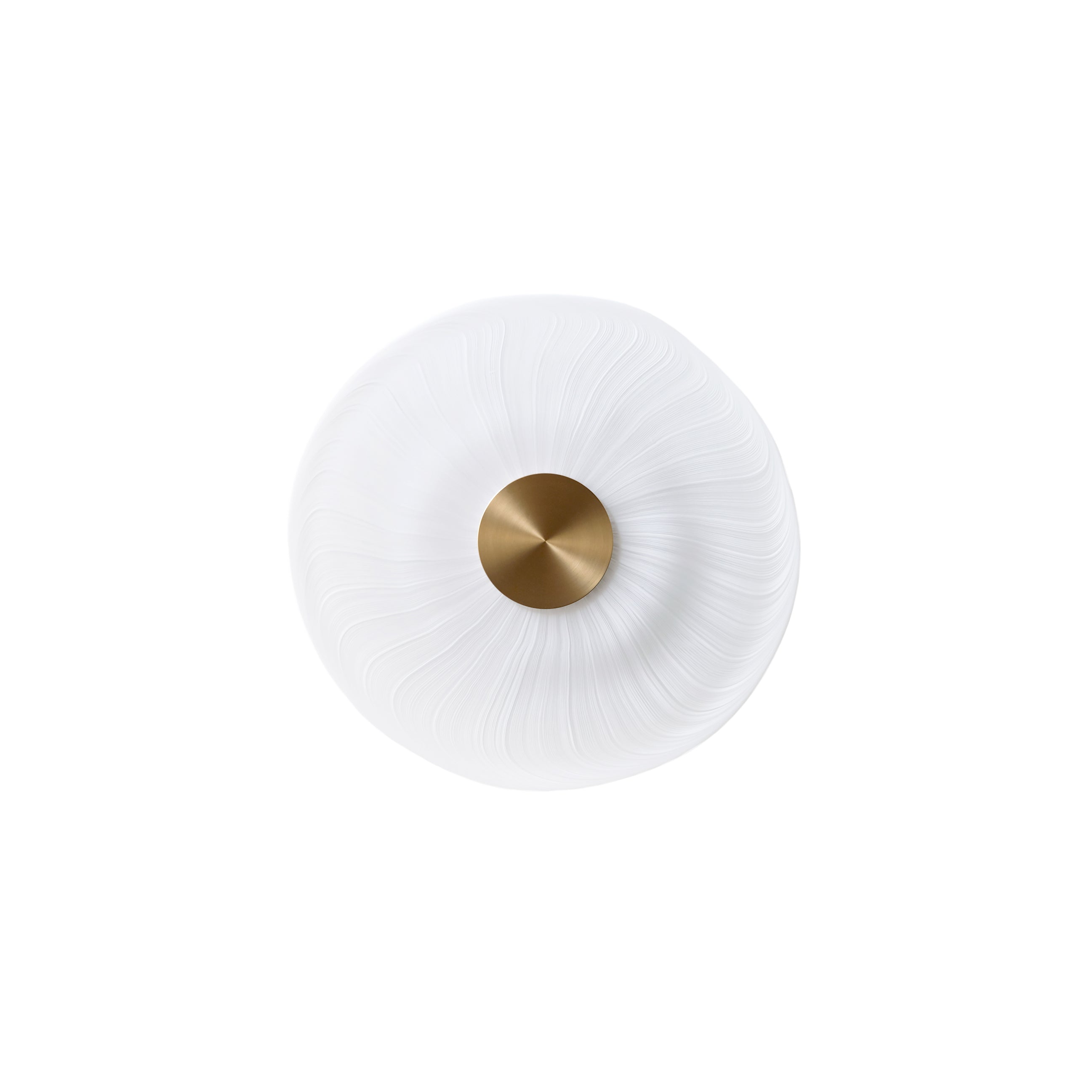 Cive Wall/Ceiling Light