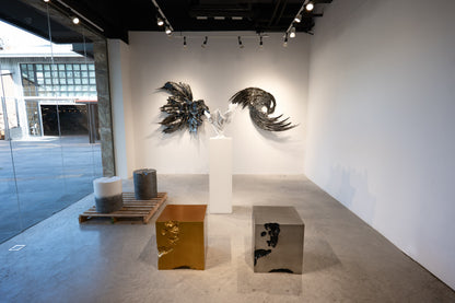 Erosia Cube