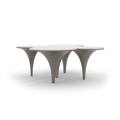 Khamesh Coffee Table