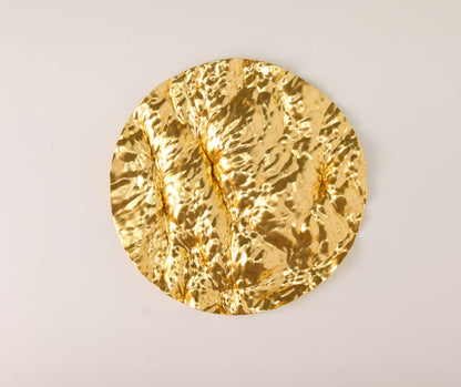 Oceana Panel