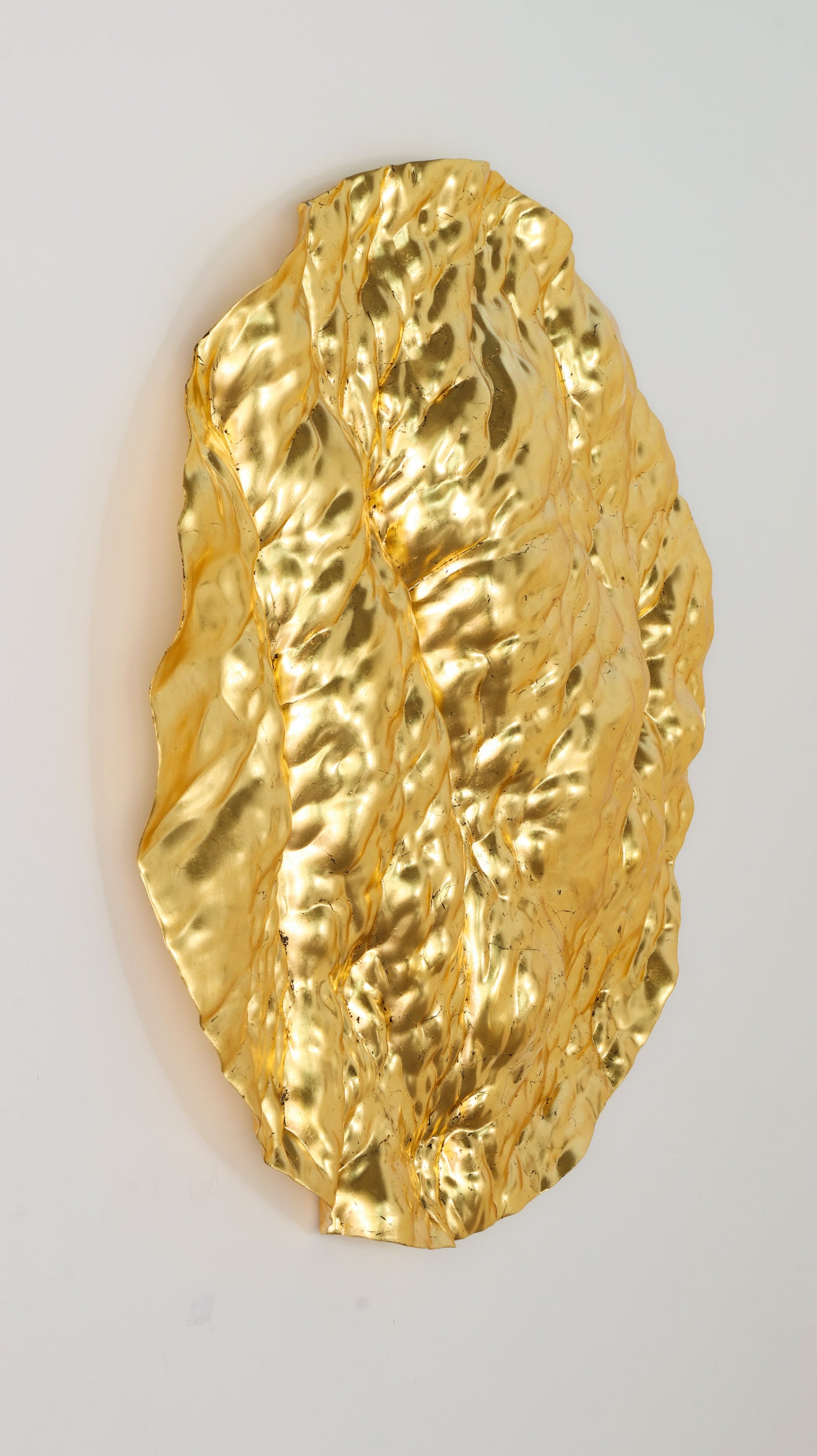 Oceana Panel
