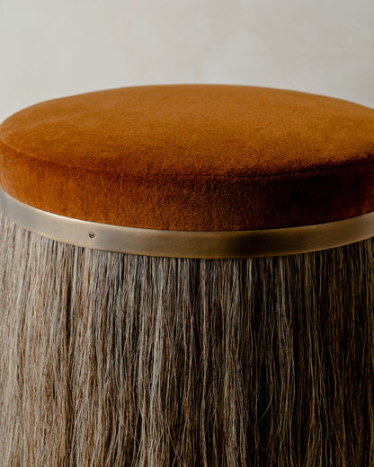 Thing 1 Stool