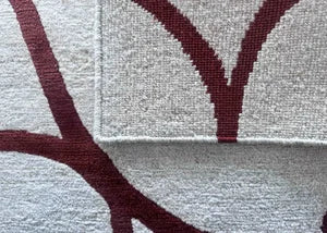 Xylem